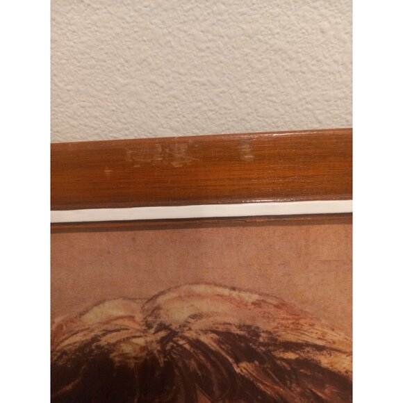 Jesus Painting Richard Hook Framed Numbered Print1969 CPH 38-1572 printed in USA - Picture 5 of 9